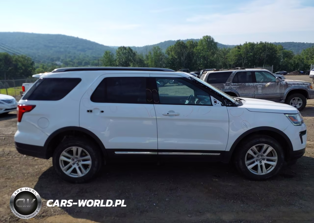 2019 Ford Explorer Xlt VIN:1FM5K8D89KGB19217 - 13
