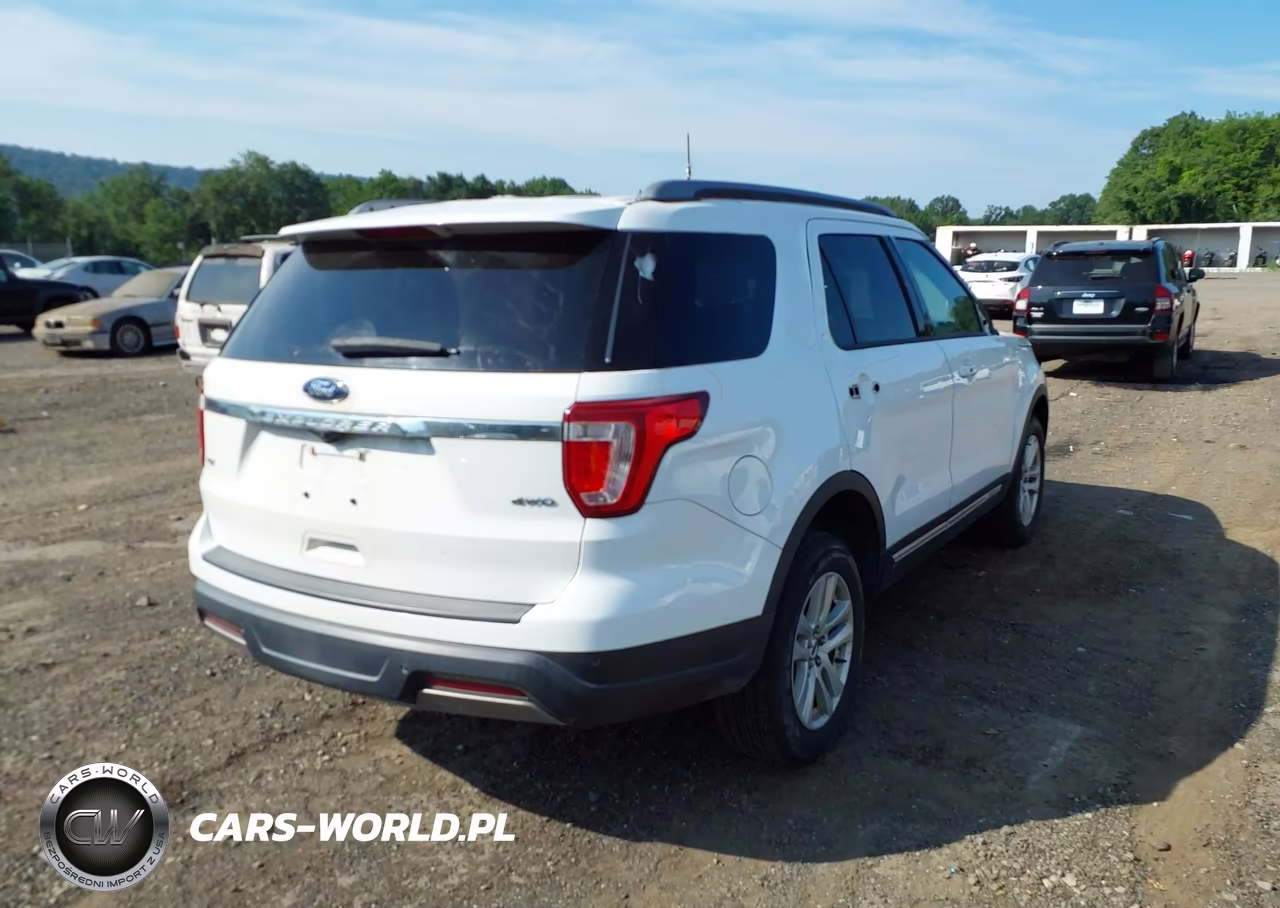 2019 Ford Explorer Xlt VIN:1FM5K8D89KGB19217 - 4