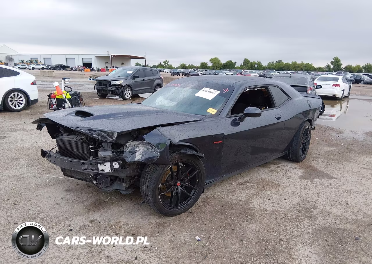 2019 Dodge Challenger R-T VIN:2C3CDZBTXKH593950 - 2