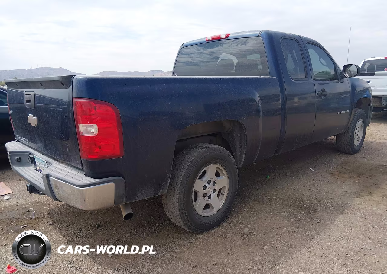 2009 Chevrolet Silverado 1500 Work Truck VIN:1GCEC19X09Z153313 - 4