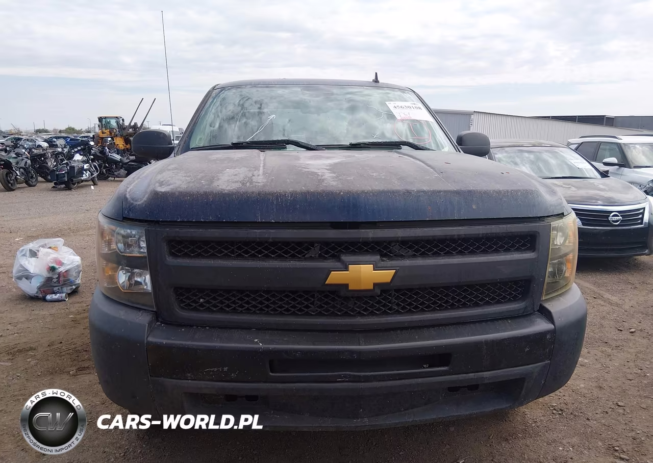2009 Chevrolet Silverado 1500 Work Truck VIN:1GCEC19X09Z153313 - 6