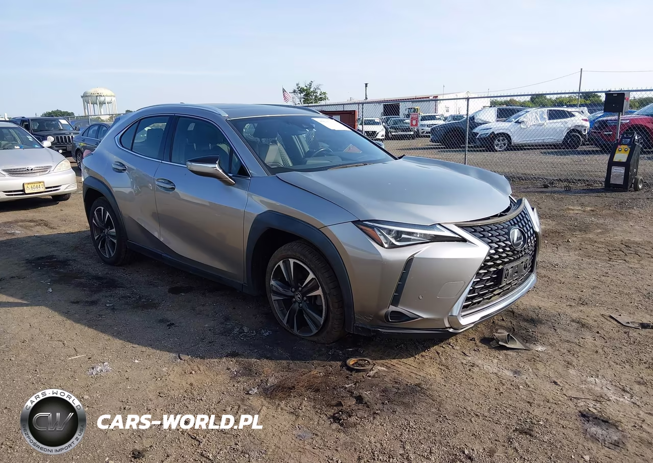 2019 Lexus Ux 200