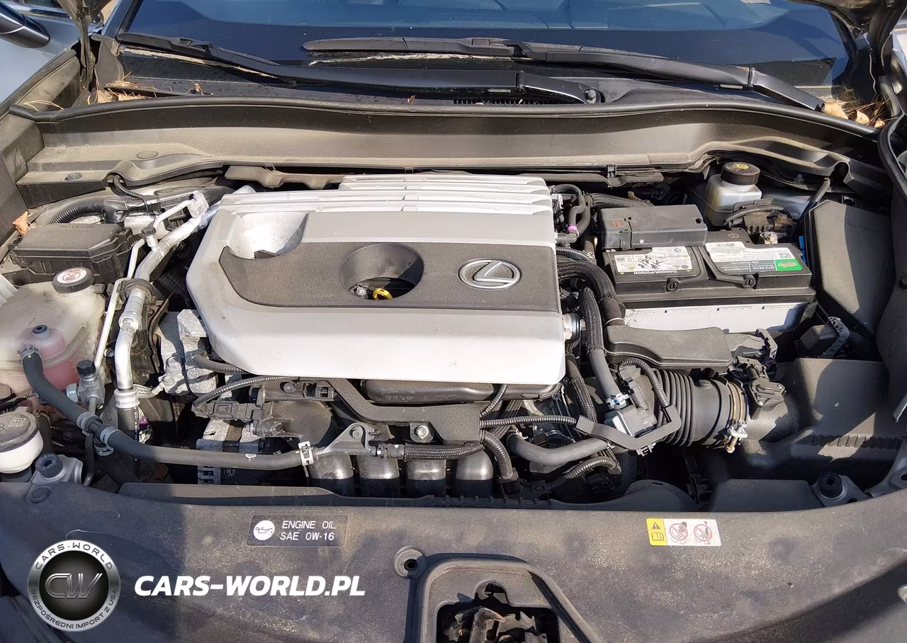 2019 Lexus Ux 200 VIN:JTHY3JBH6K2000786 - 10