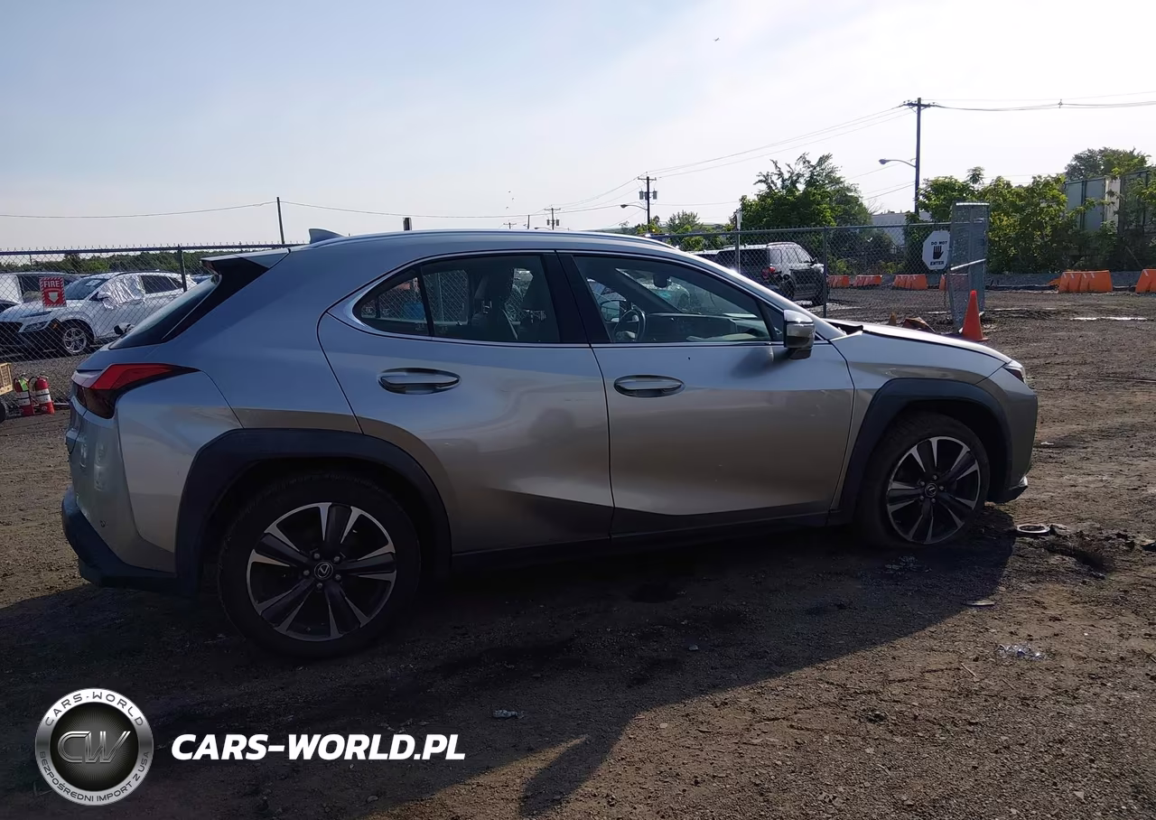 2019 Lexus Ux 200 VIN:JTHY3JBH6K2000786 - 13
