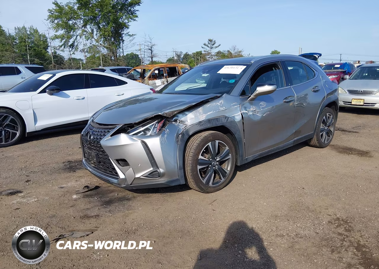 2019 Lexus Ux 200 VIN:JTHY3JBH6K2000786 - 2