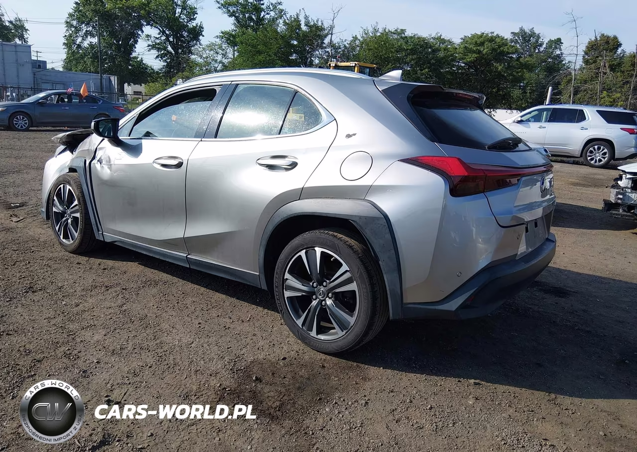 2019 Lexus Ux 200 VIN:JTHY3JBH6K2000786 - 3