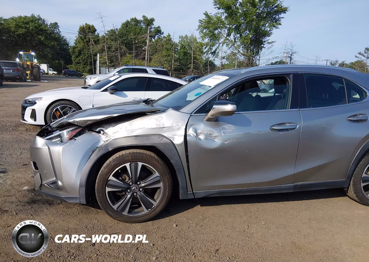 2019 Lexus Ux 200 VIN:JTHY3JBH6K2000786 - 6