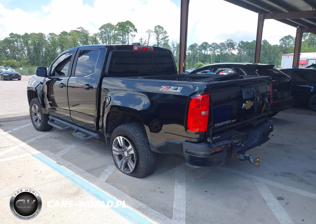 2019 Chevrolet Colorado Z71 VIN:1GCGTDEN2K1137357 - 3