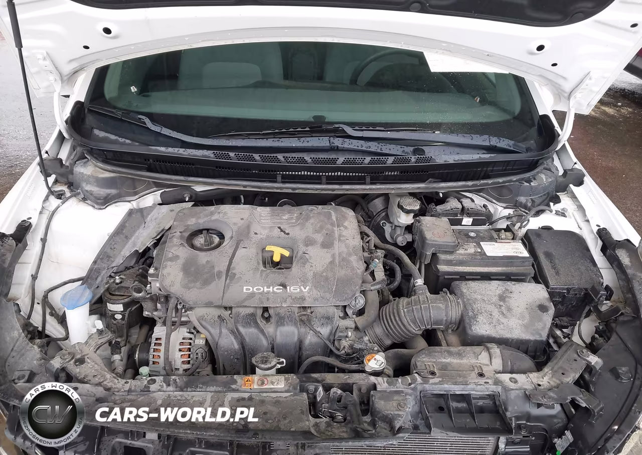2017 Kia Forte Lx VIN:3KPFK4A75HE044926 - 10