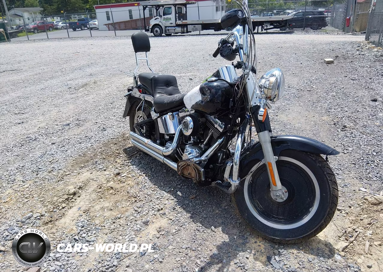 2001 Harley-Davidson Flstf