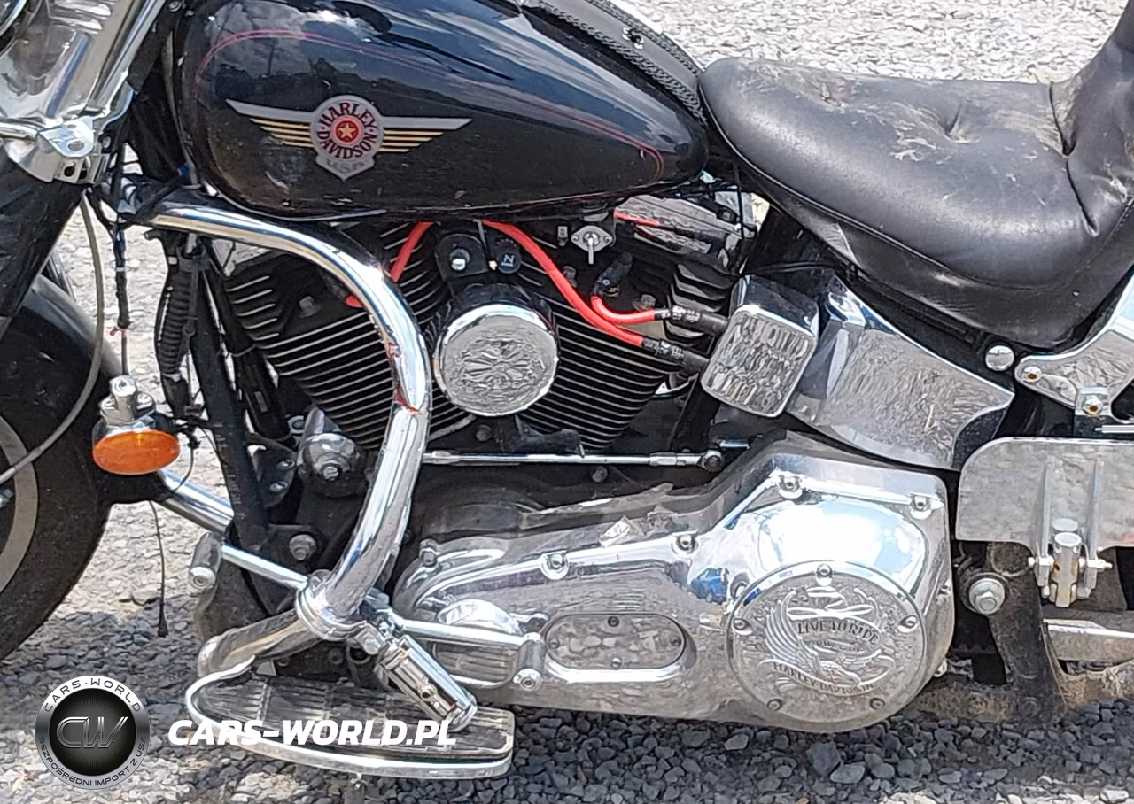 2001 Harley-Davidson Flstf VIN:1HD1BMY151Y052745 - 9