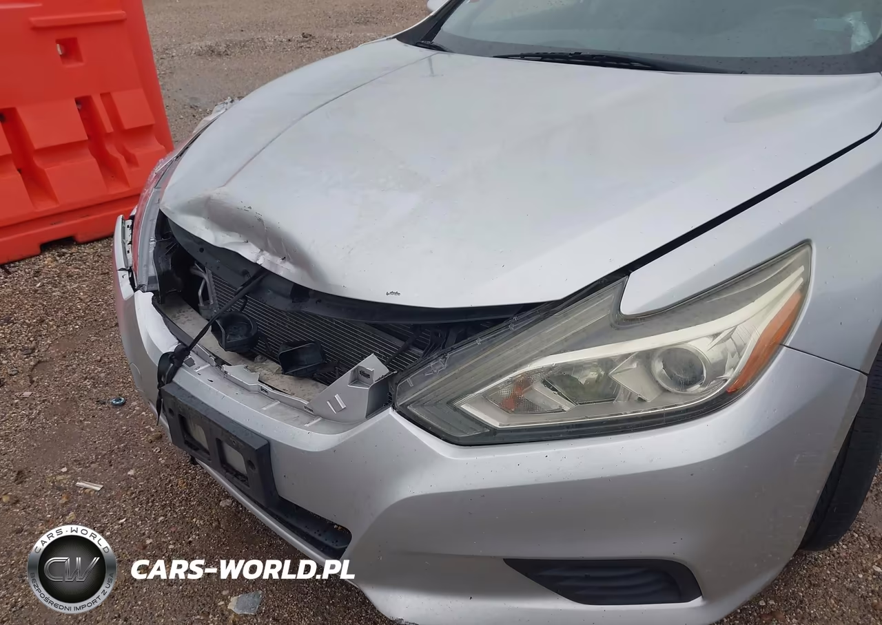 2016 Nissan Altima 2.5-2.5 S-2.5 Sl-2.5 Sr-2.5 Sv VIN:1N4AL3AP0GC155008 - 12