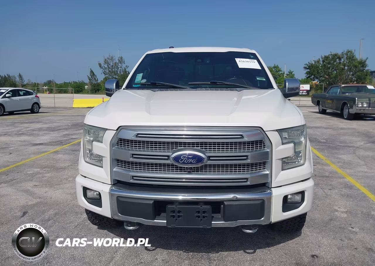 2016 Ford F-150 Platinum VIN:1FTEW1EG7GFA30054 - 12