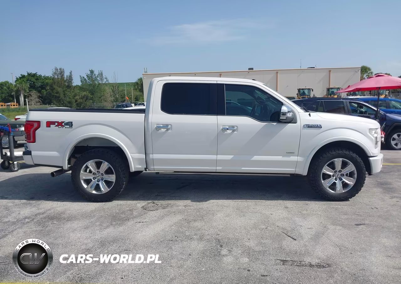 2016 Ford F-150 Platinum VIN:1FTEW1EG7GFA30054 - 13
