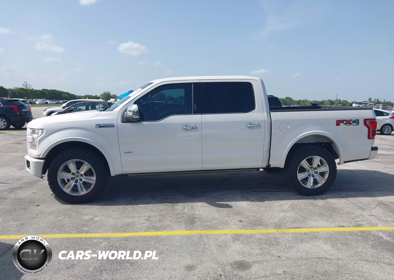 2016 Ford F-150 Platinum VIN:1FTEW1EG7GFA30054 - 14