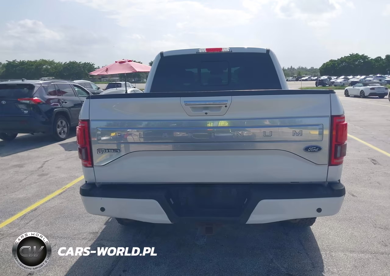 2016 Ford F-150 Platinum VIN:1FTEW1EG7GFA30054 - 16