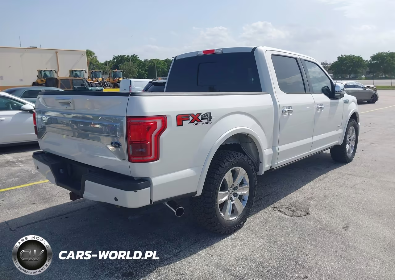 2016 Ford F-150 Platinum VIN:1FTEW1EG7GFA30054 - 4