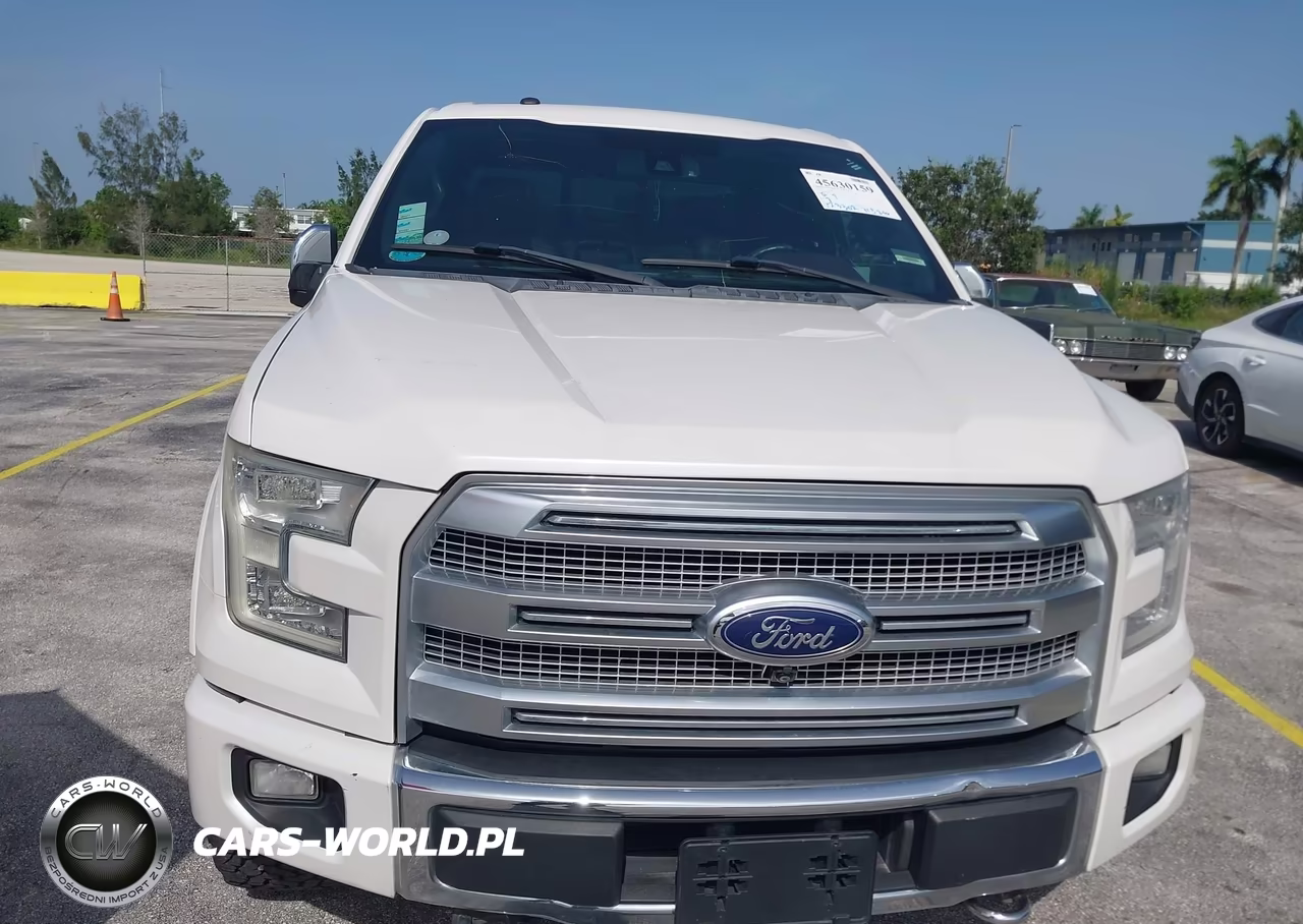 2016 Ford F-150 Platinum VIN:1FTEW1EG7GFA30054 - 6