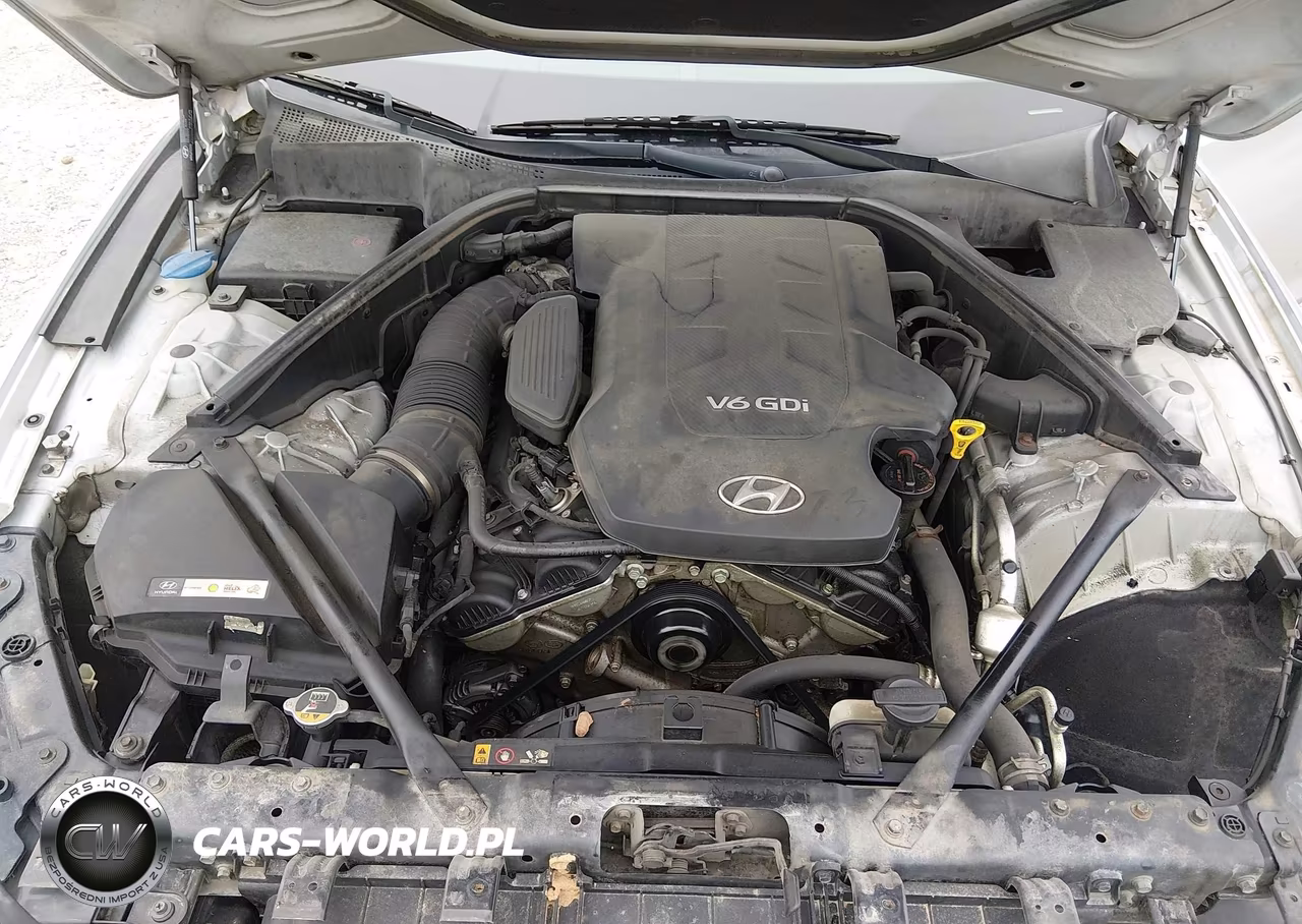 2015 Hyundai Genesis 3.8 VIN:KMHGN4JE9FU094457 - 10