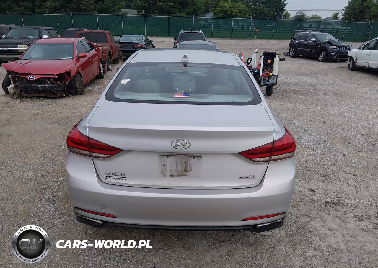2015 Hyundai Genesis 3.8 VIN:KMHGN4JE9FU094457 - 16