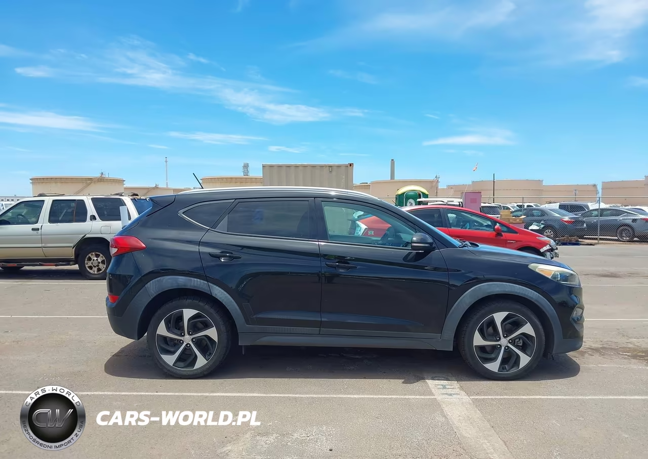 2016 Hyundai Tucson Sport VIN:KM8J33A23GU035465 - 13