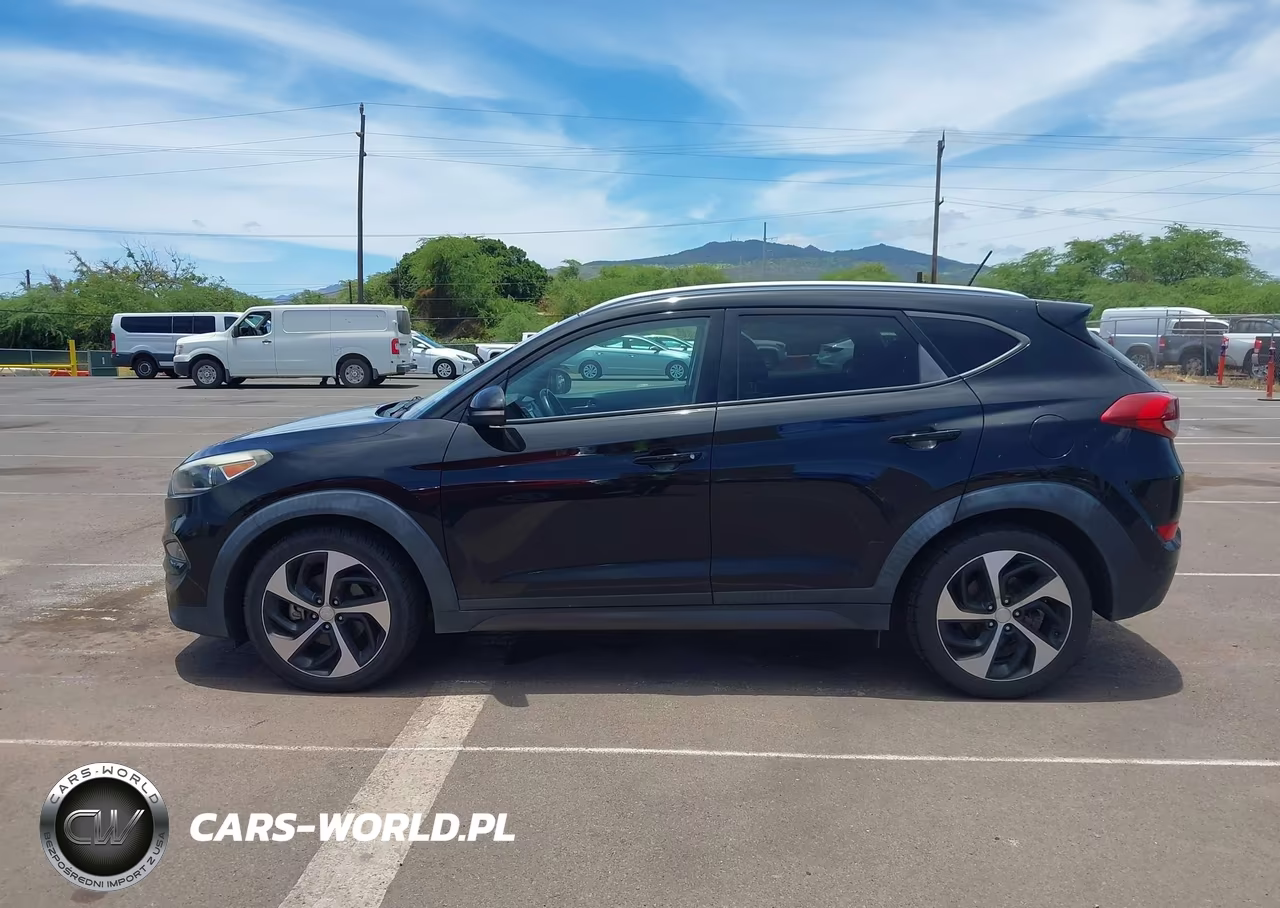 2016 Hyundai Tucson Sport VIN:KM8J33A23GU035465 - 14