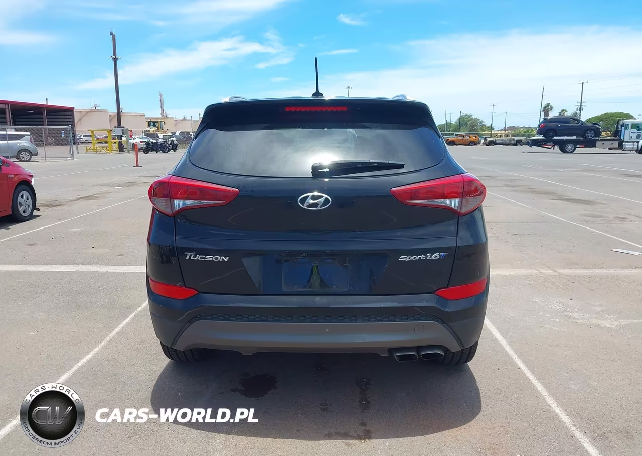 2016 Hyundai Tucson Sport VIN:KM8J33A23GU035465 - 16