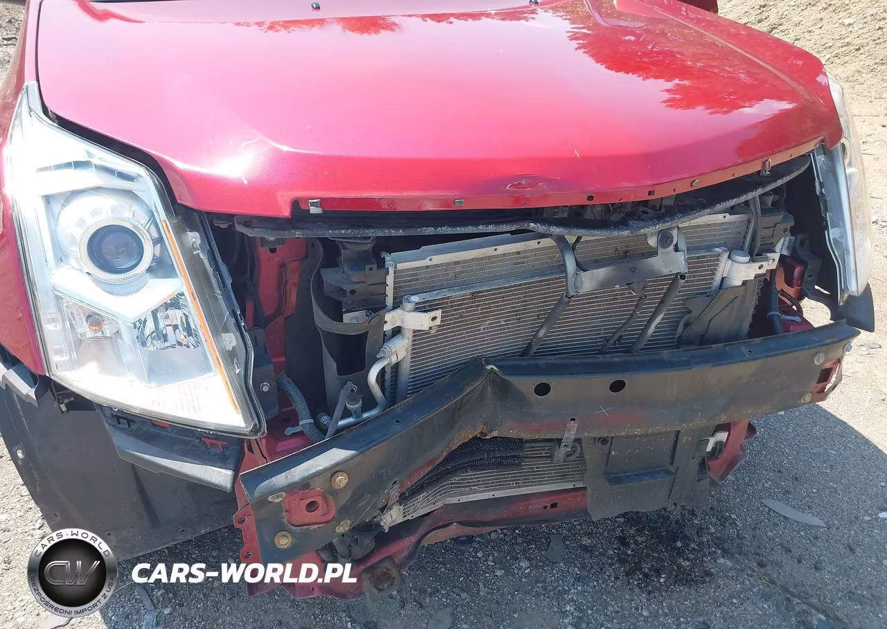 2012 Cadillac Srx Standard VIN:3GYFNGE39CS655420 - 6