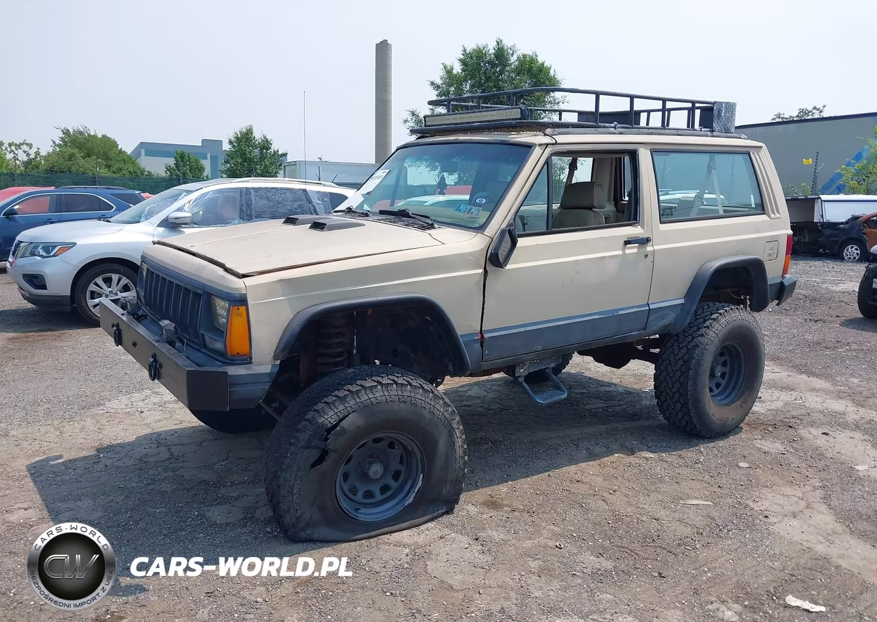 1994 Jeep Cherokee Sport VIN:1J4FJ67S6RL166689 - 2