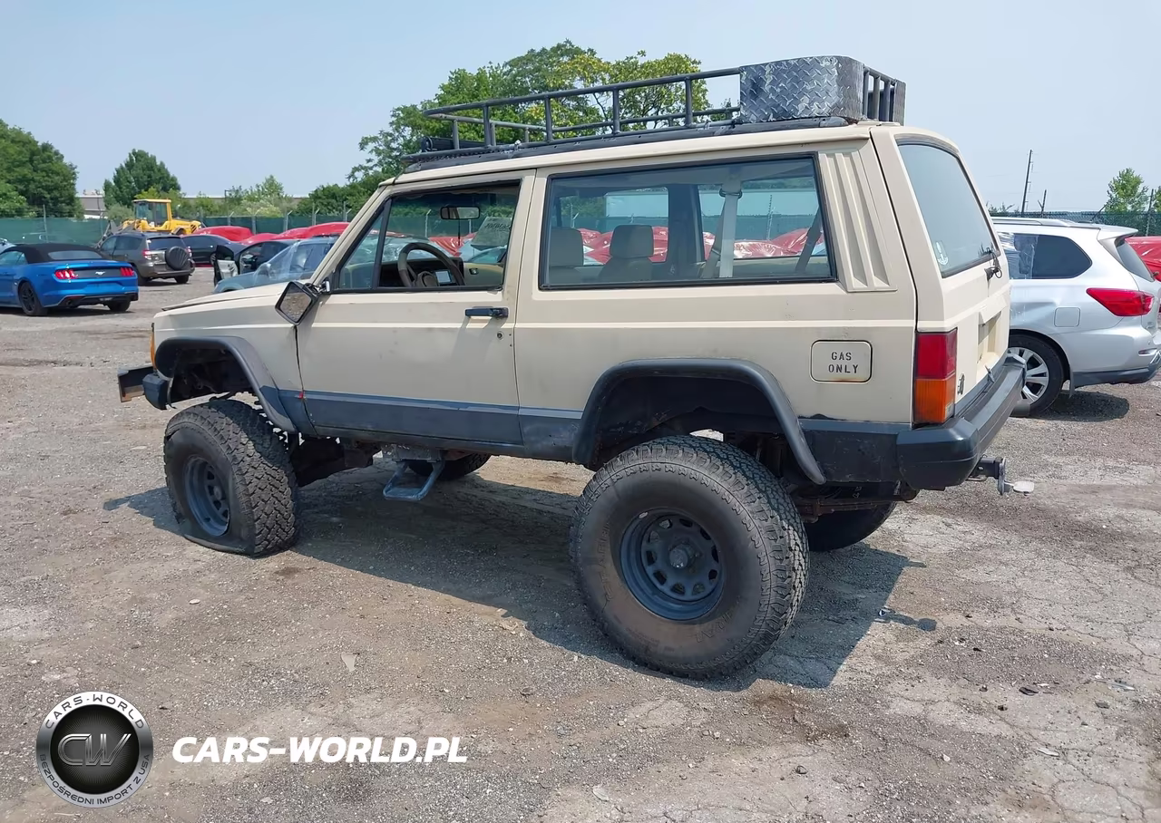 1994 Jeep Cherokee Sport VIN:1J4FJ67S6RL166689 - 3