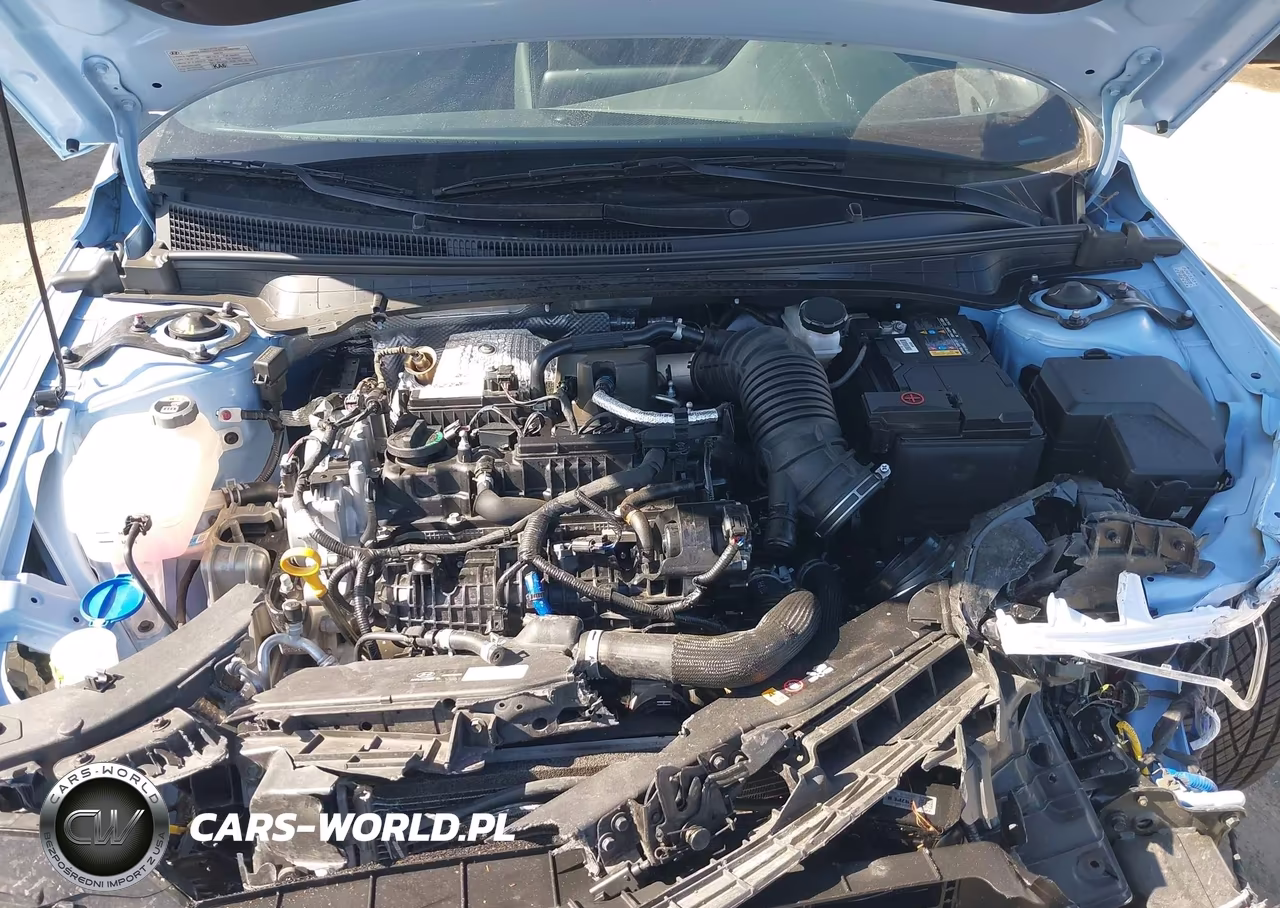 2024 Hyundai Elantra N VIN:KMHLW4DK7RU021203 - 10