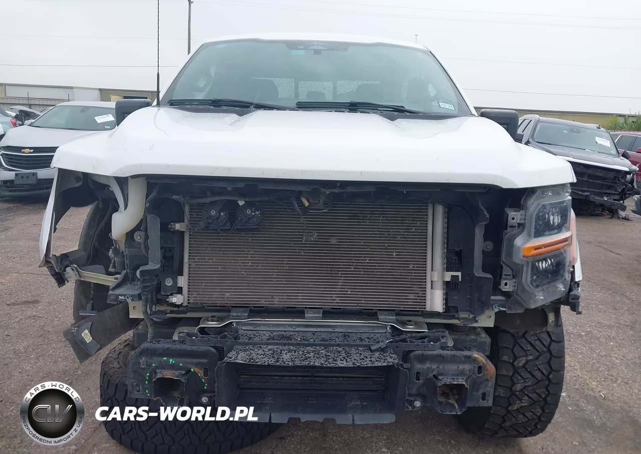 2024 Ford F-150 Xlt VIN:1FTEW3KP6RKF02125 - 12
