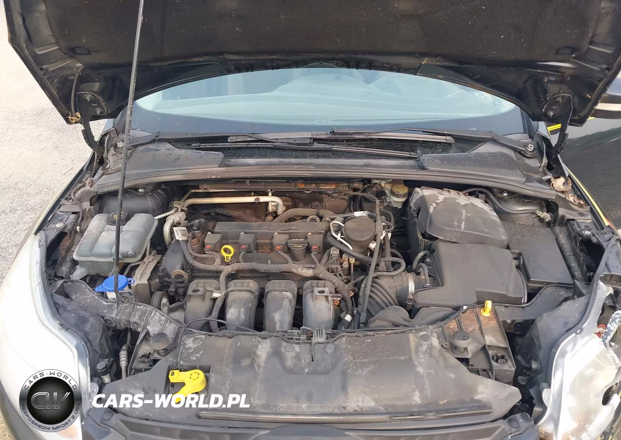 2014 Ford Focus Se VIN:1FADP3F24EL346930 - 10