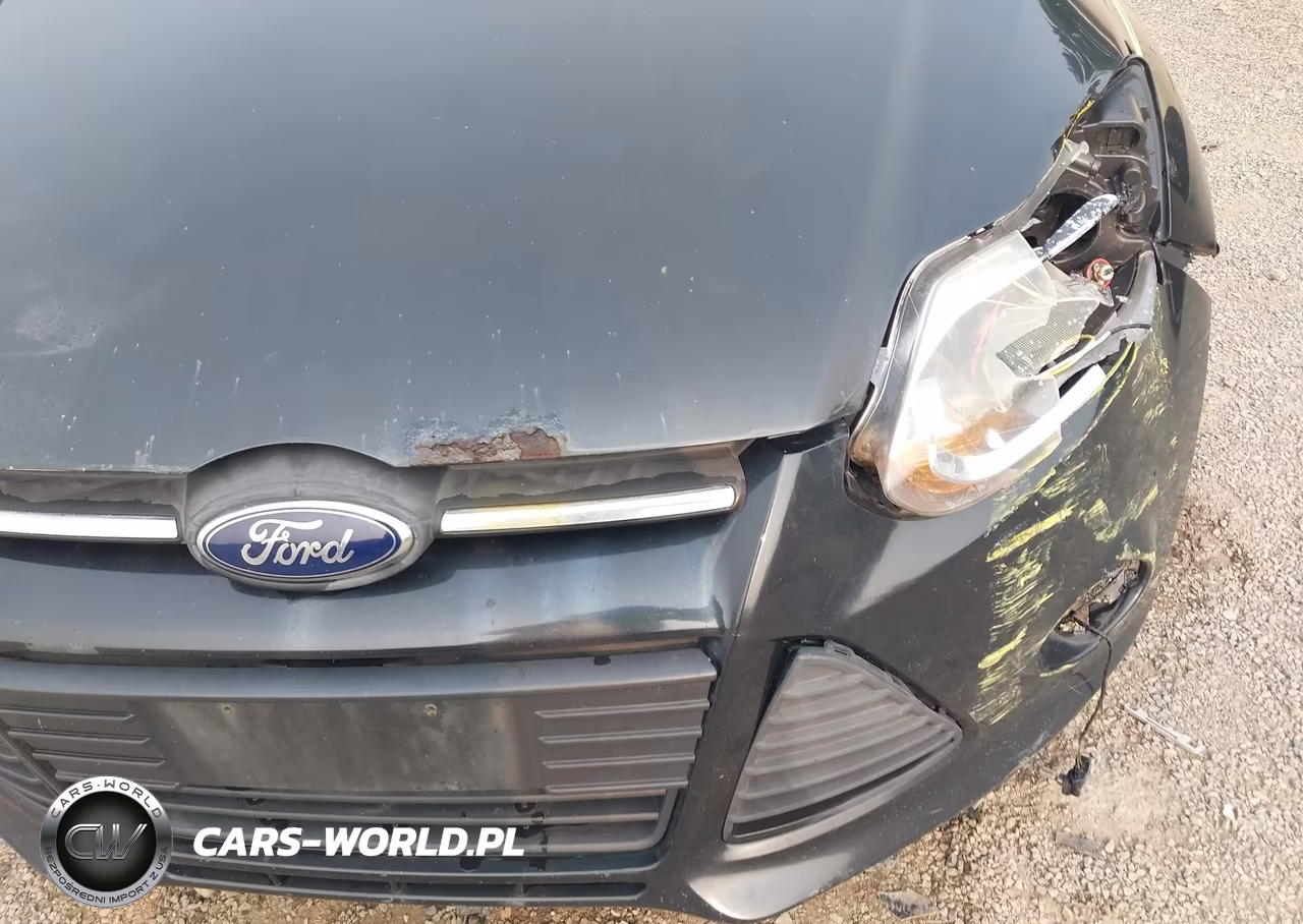 2014 Ford Focus Se VIN:1FADP3F24EL346930 - 18