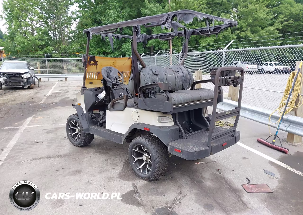 2025 Dena Golf Cart VIN:7XBABAAB4SA101593 - 3