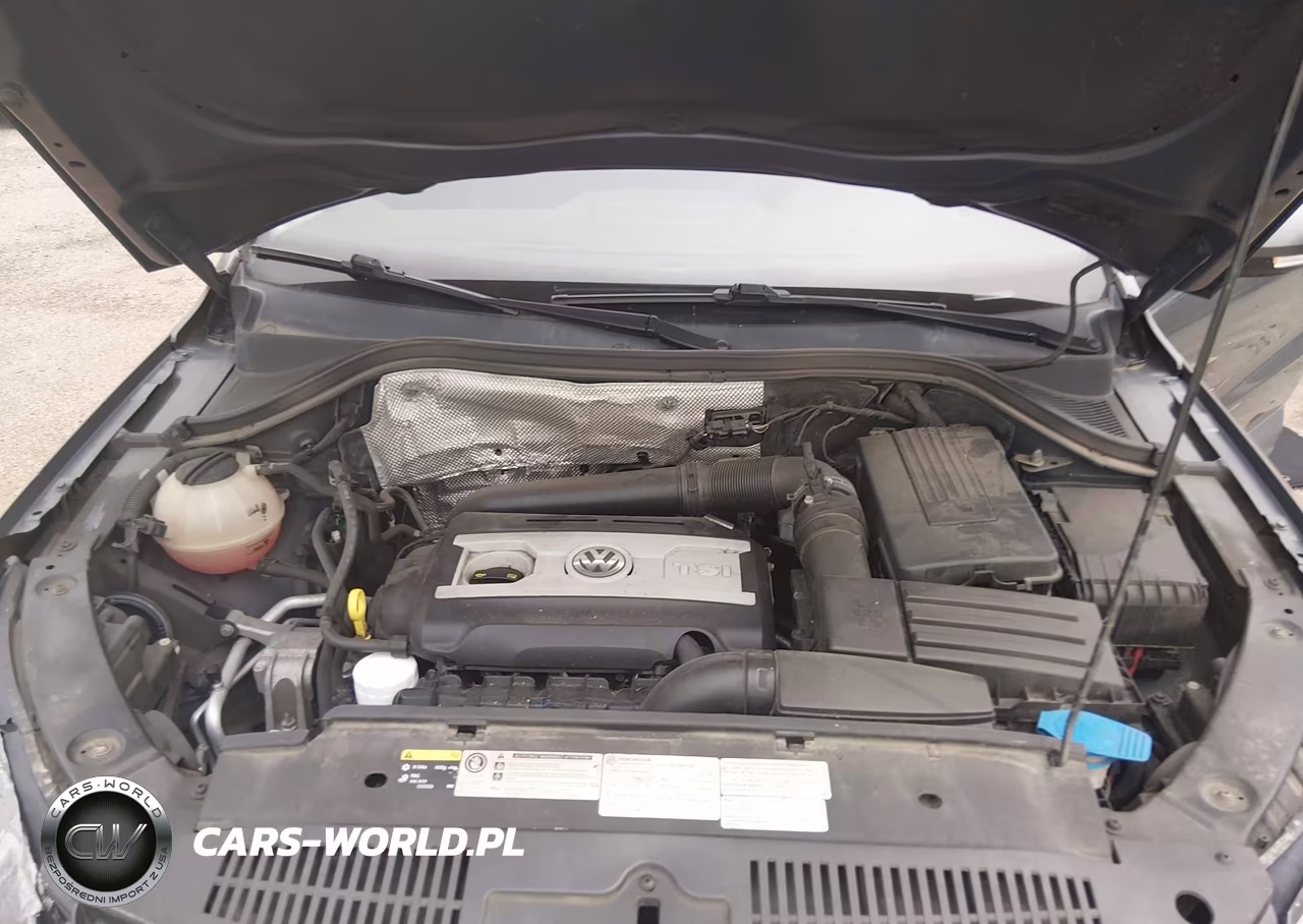 2017 Volkswagen Tiguan 2.0T-2.0T S VIN:WVGBV7AX7HK019297 - 10