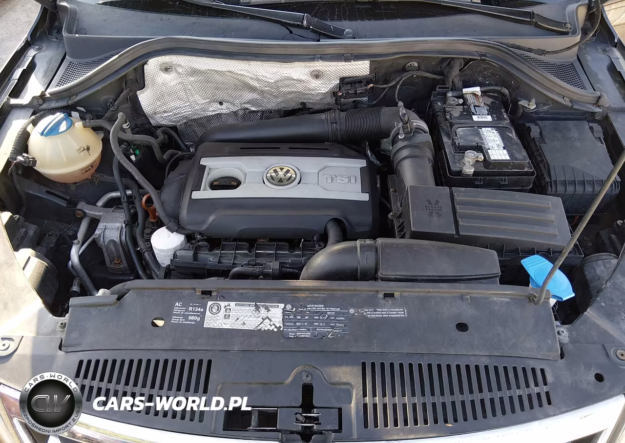 2011 Volkswagen Tiguan S VIN:WVGBV7AX4BW519949 - 10