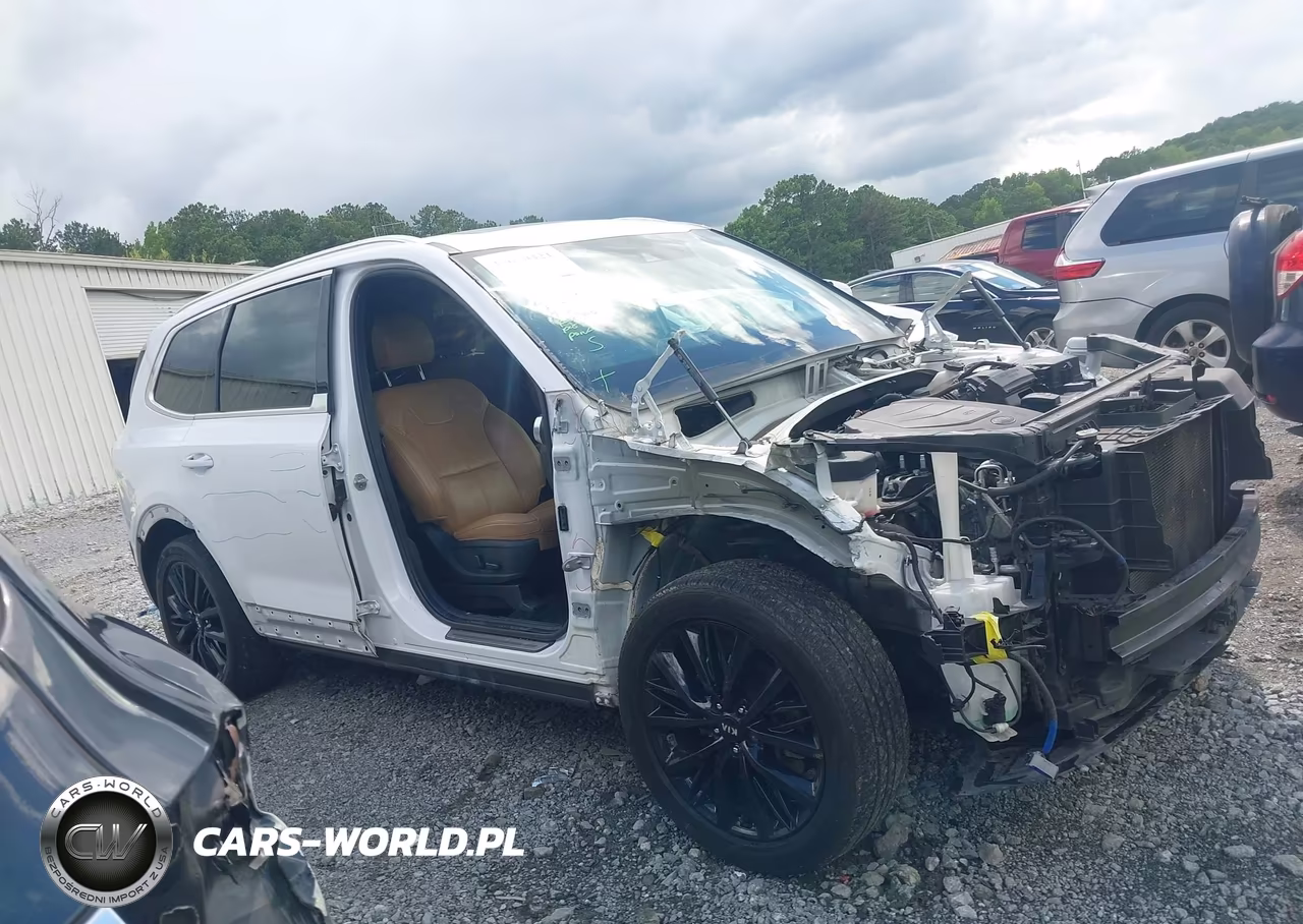 2021 KIA TELLURIDE SX VIN:5XYP54HC5MG151633 - 13