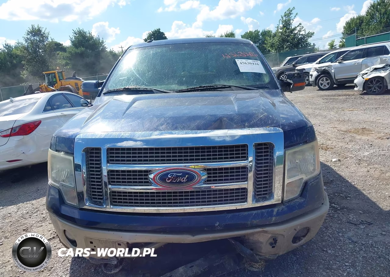 2010 Ford F-150 Fx4-Harley-Davidson-King Ranch-Lariat-Platinum-Xl-Xlt VIN:1FTFW1EVXAFA08155 - 12