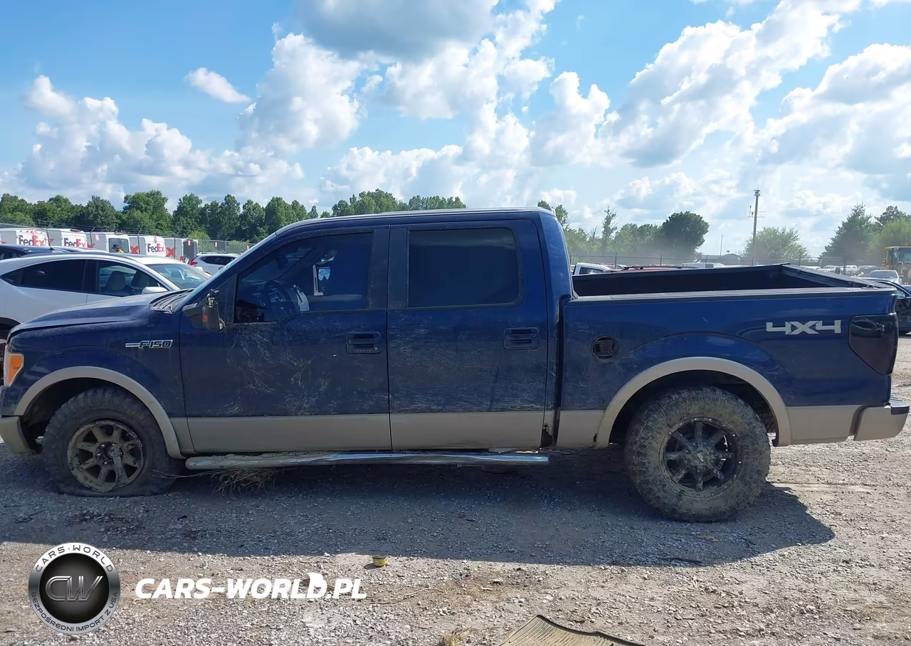 2010 Ford F-150 Fx4-Harley-Davidson-King Ranch-Lariat-Platinum-Xl-Xlt VIN:1FTFW1EVXAFA08155 - 14