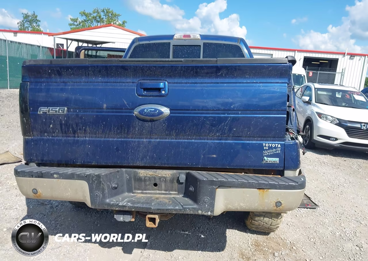 2010 Ford F-150 Fx4-Harley-Davidson-King Ranch-Lariat-Platinum-Xl-Xlt VIN:1FTFW1EVXAFA08155 - 16