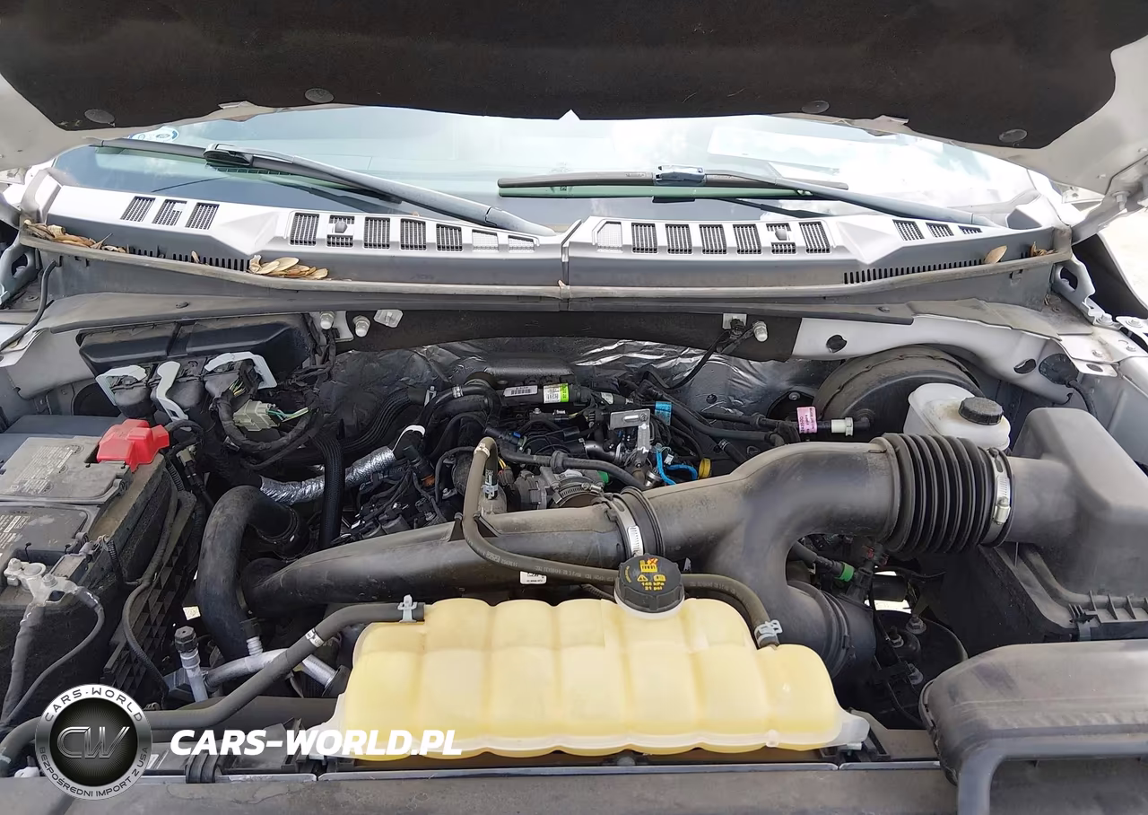 2019 Ford F-150 Xlt VIN:1FTEW1CP4KKF15397 - 10