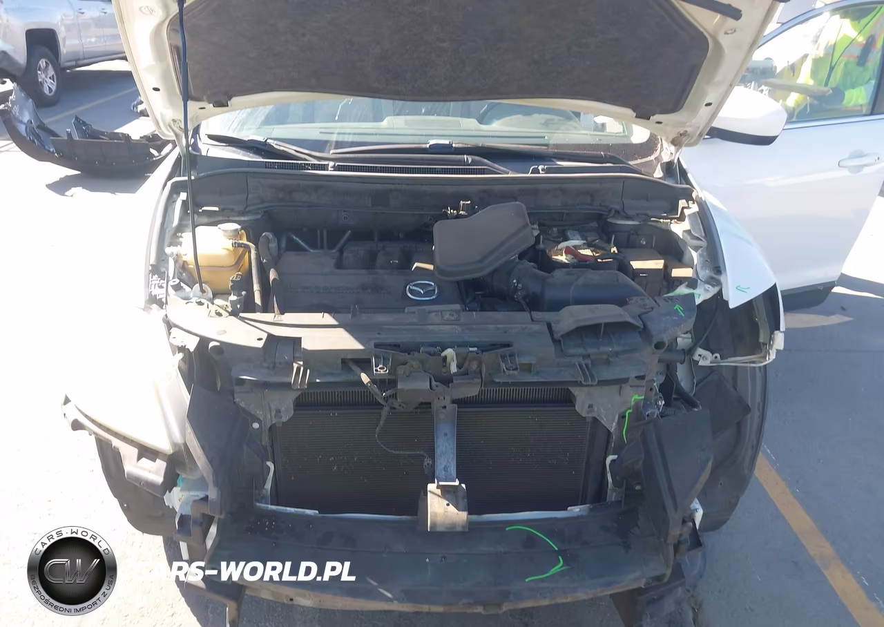 2010 Mazda Cx-9 Touring VIN:JM3TB2MV9A0220366 - 10