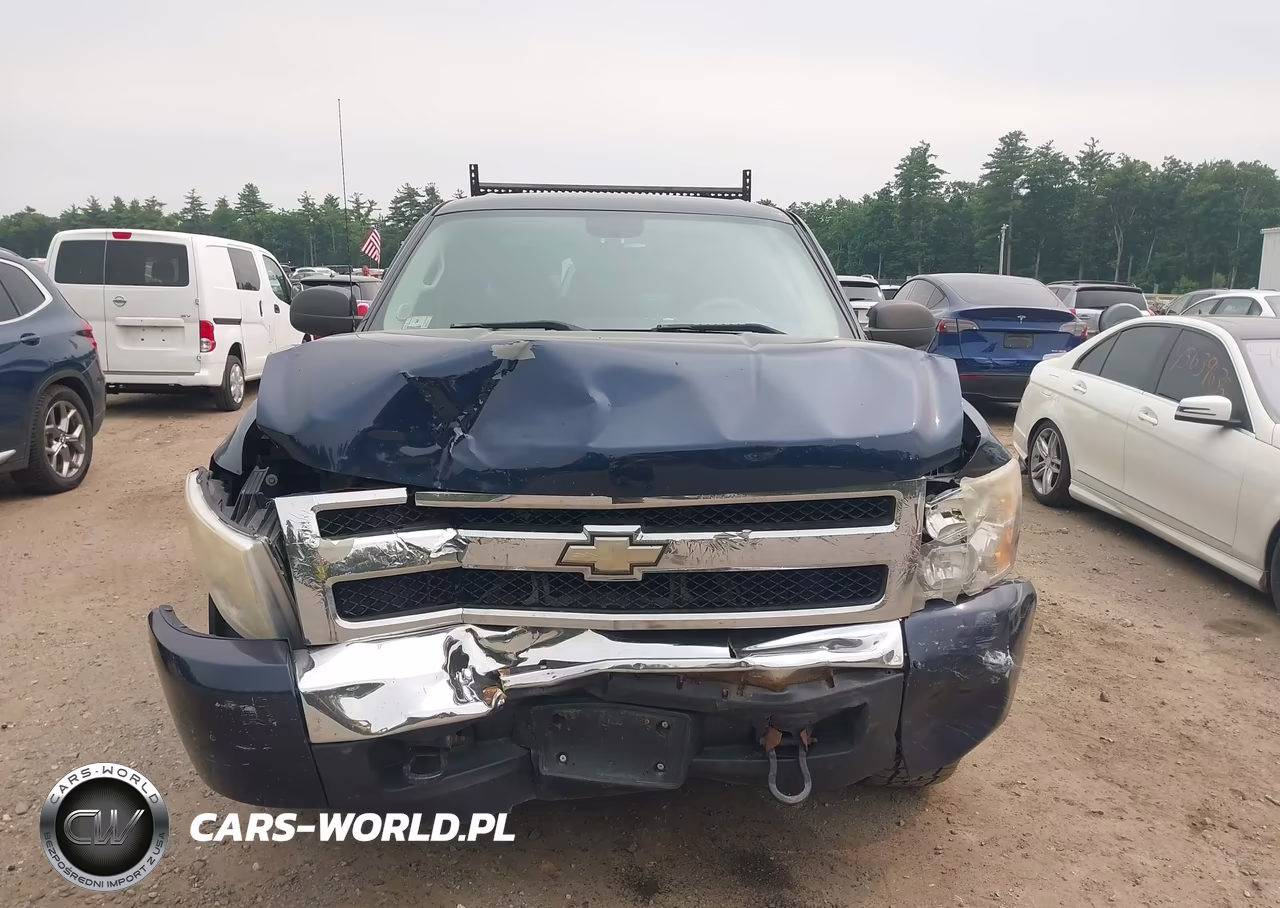 2010 Chevrolet Silverado 1500 Lt VIN:3GCRKSEA1AG178088 - 12
