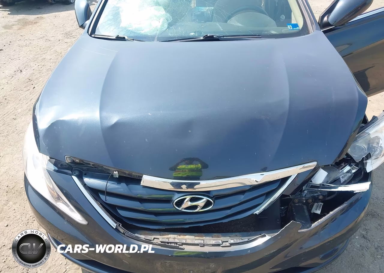 2013 Hyundai Sonata Gls VIN:5NPEB4AC7DH754487 - 10