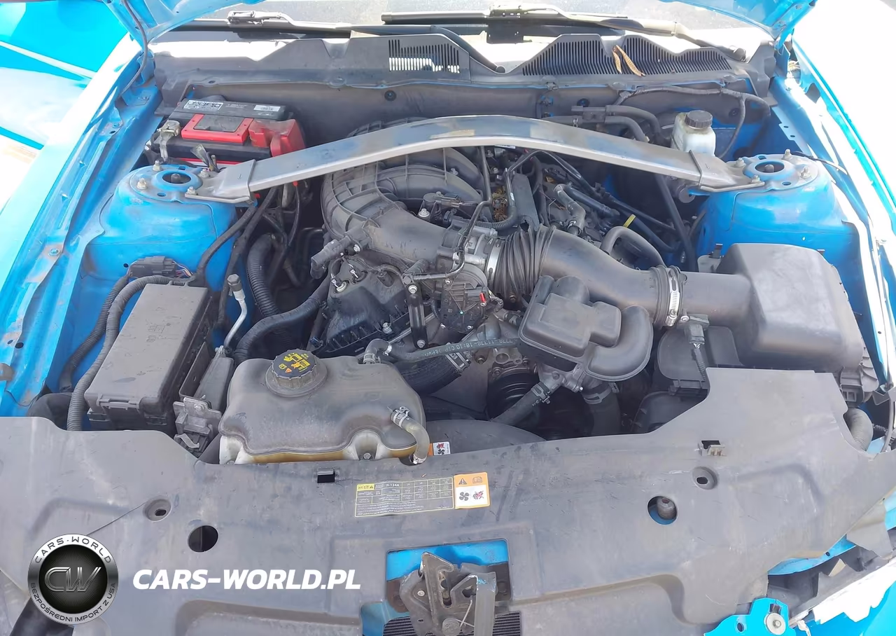 2012 Ford Mustang V6 Premium VIN:1ZVBP8EM7C5282494 - 10