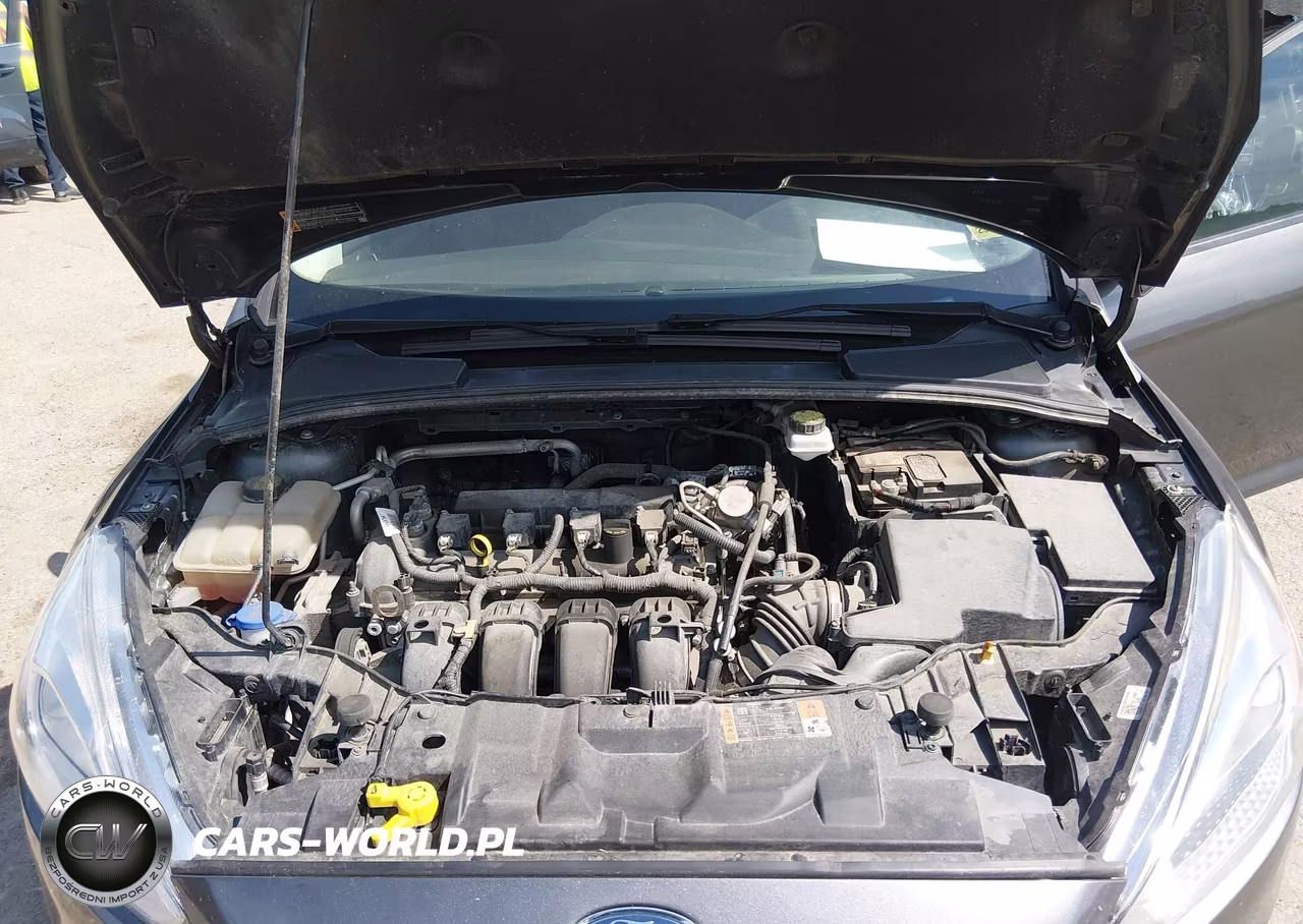 2018 Ford Focus Se VIN:1FADP3F23JL213831 - 10