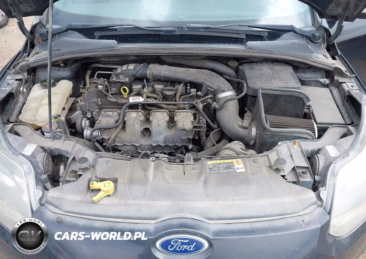 2013 Ford Focus St VIN:1FADP3L98DL381003 - 10
