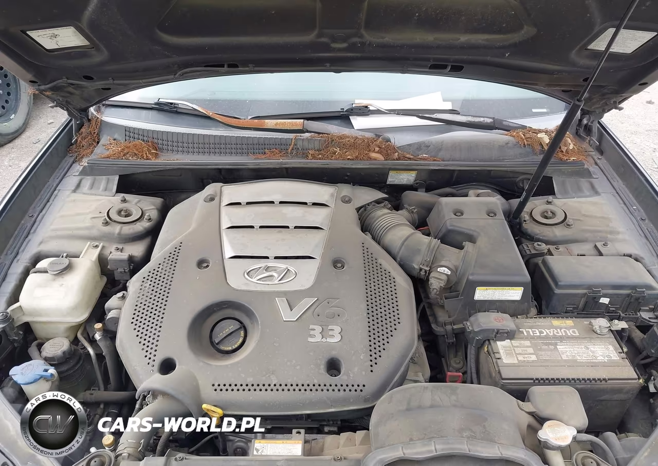 2006 Hyundai Sonata Gls V6-Lx V6 VIN:5NPEU46F56H008720 - 10