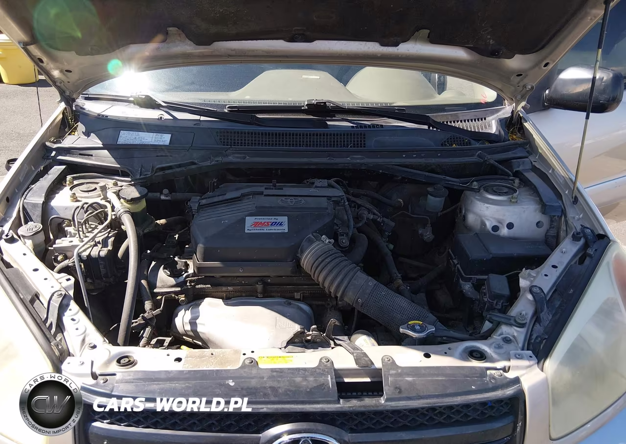 2004 Toyota Rav4 VIN:JTEGD20V140011231 - 10
